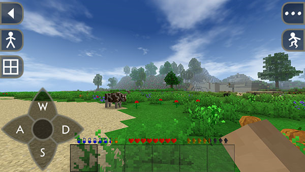 Survivalcraft2(3)