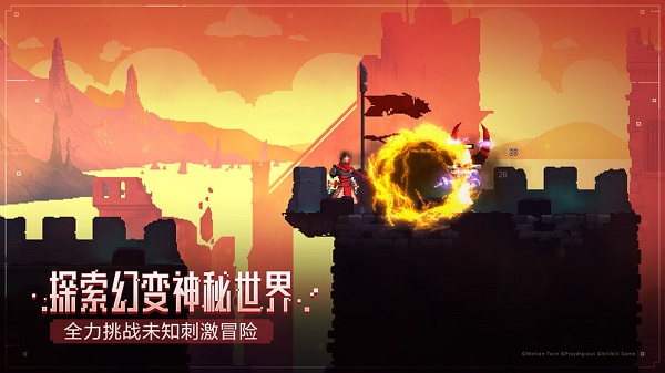 死亡细胞(2)