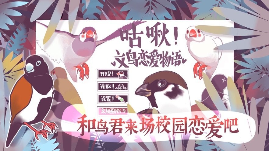 咕啾文鳥戀愛物語(2)