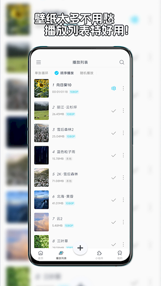 星咩视频壁纸软件(4)