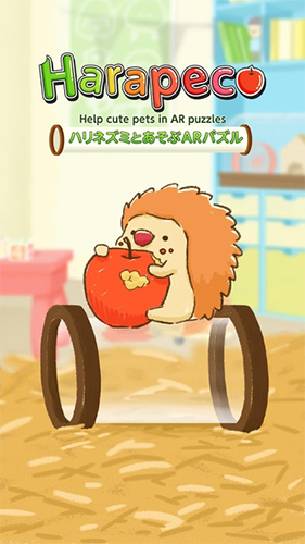 小刺猬的AR迷宮(1)
