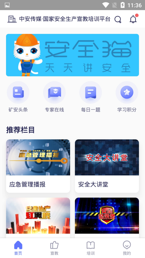 安全猫(3)