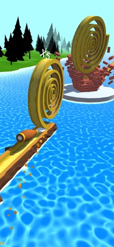 Spiral Roll(2)