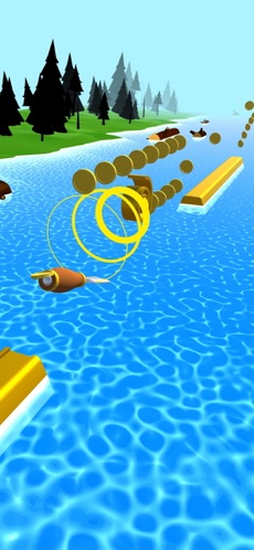 Spiral Roll(1)