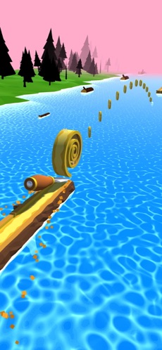 Spiral Roll(3)