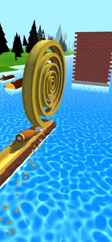 Spiral Roll(4)