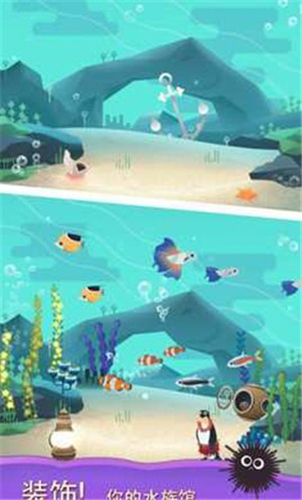 水族館之謎(2)