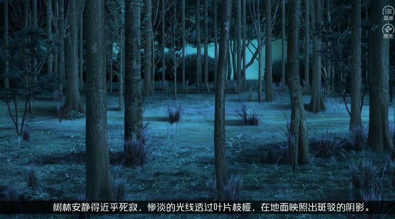 今夜与深渊有约(2)
