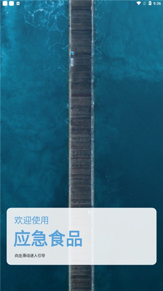 原神應(yīng)急食品(1)
