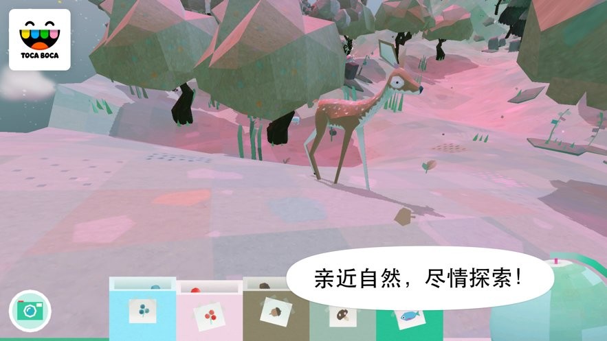托卡自然(2)