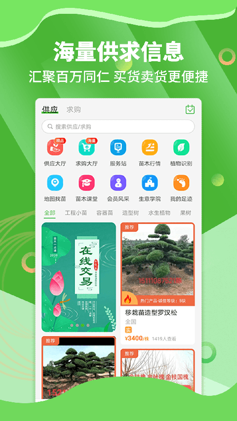 苗木通(1)