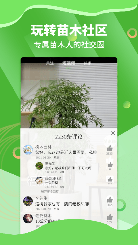 苗木通(2)