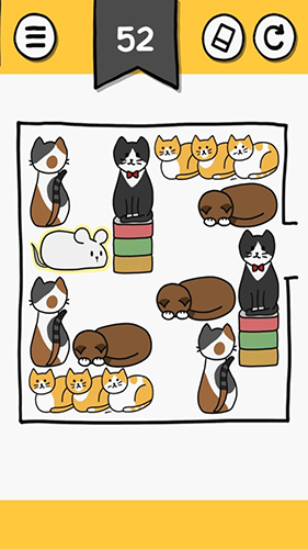 猫块难题(2)