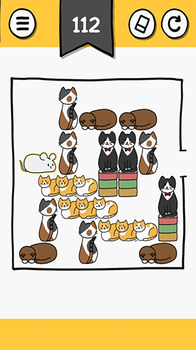 猫块难题(5)