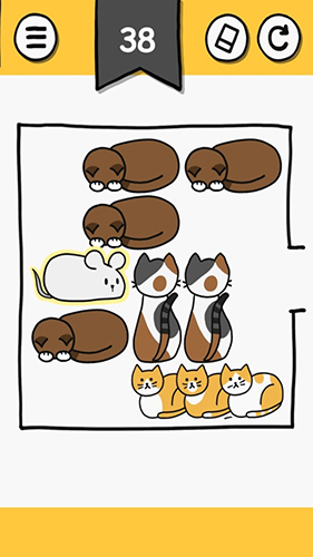 猫块难题(4)