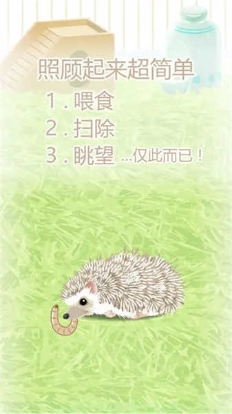 治愈的刺猬育成(2)