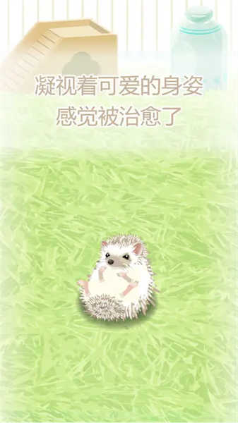 治愈的刺猬育成(1)
