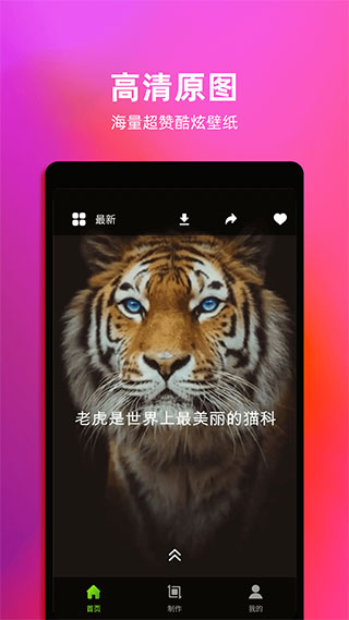 live動態壁紙(2)