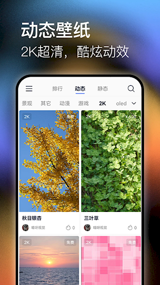 極壁紙(3)