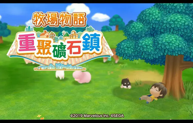 牧场物语重聚矿石镇(3)