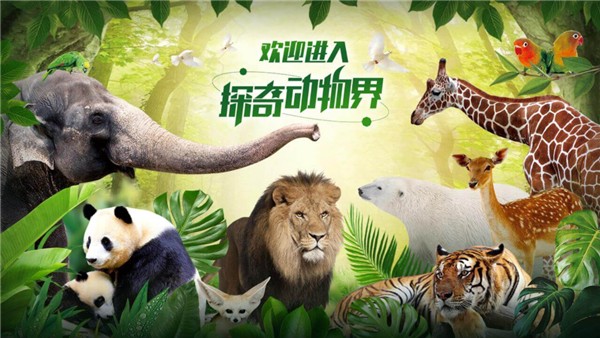 探奇动物界(1)