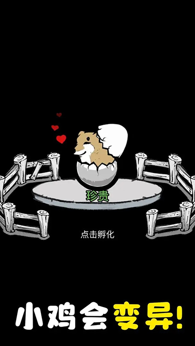 養雞時長兩年半(3)