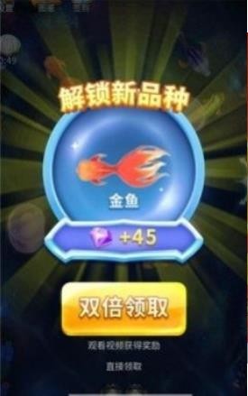 每天魚塘(2)