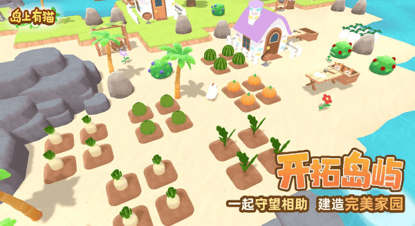 岛上有猫(3)