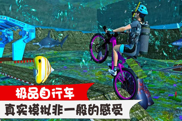 极品自行车(1)