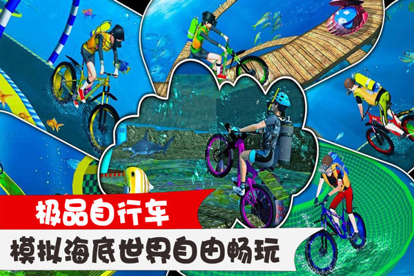 极品自行车(4)