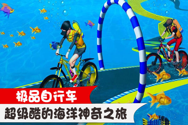 极品自行车(2)