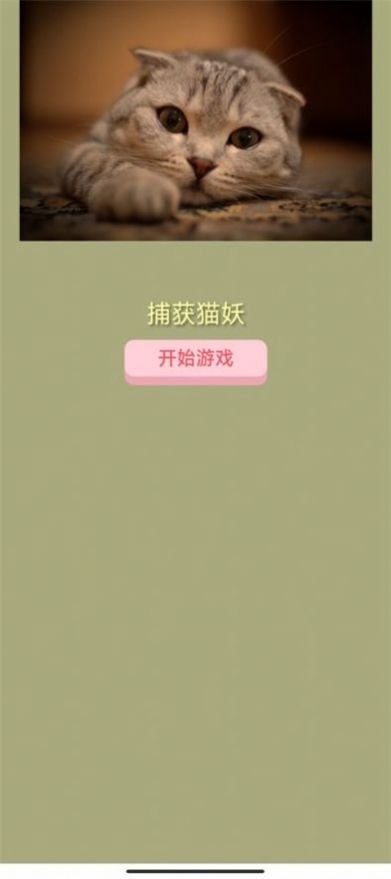 捕獲貓妖(2)