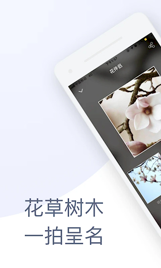花伴侶(1)