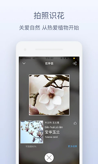花伴侶(3)