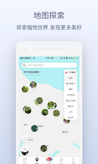 花伴侶(4)