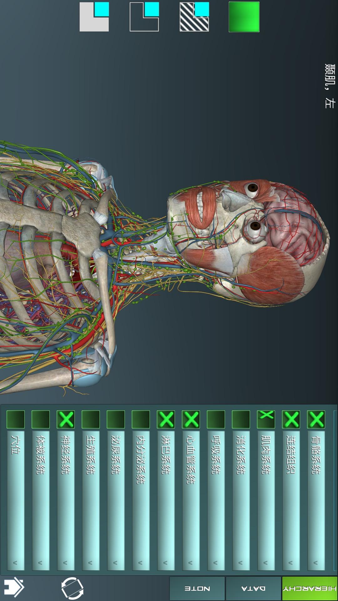 3D人体解剖学图集app(3)