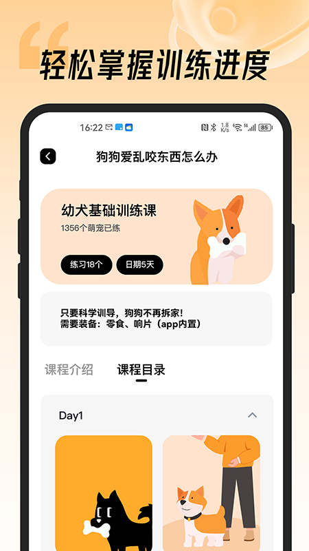 宠物记(2)