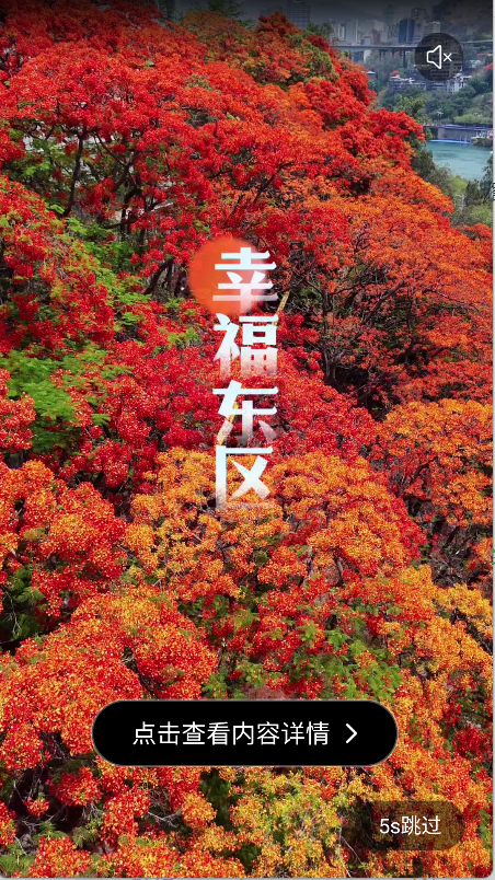 幸福东区(4)