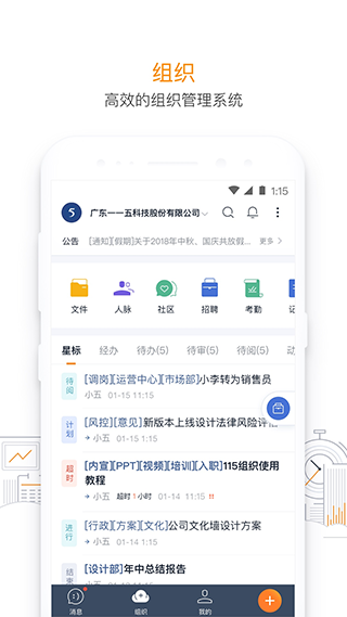 115管理(2)