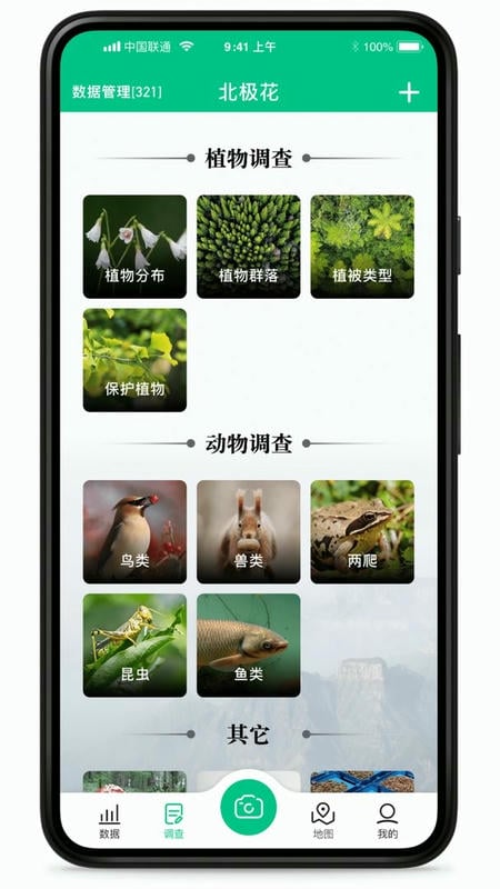 北極花生物調查(1)