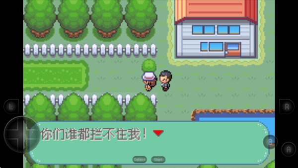 口袋妖怪新世界傳奇彼岸花綻放之夜(2)