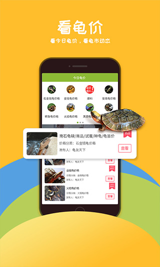龜友天下(2)