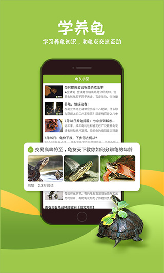 龜友天下(1)