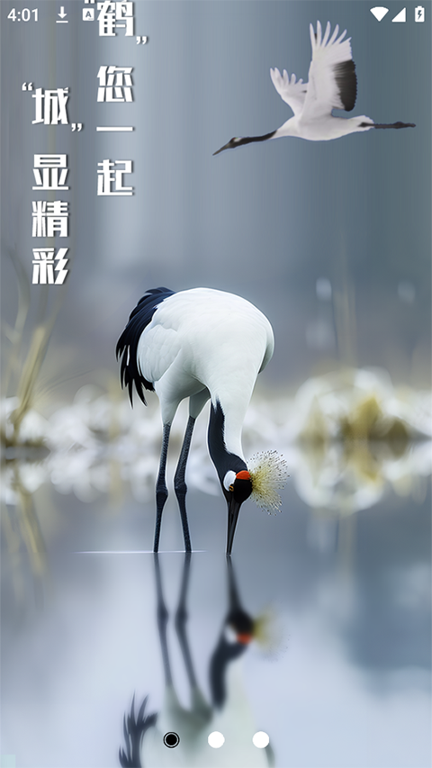 鹤城在线(3)