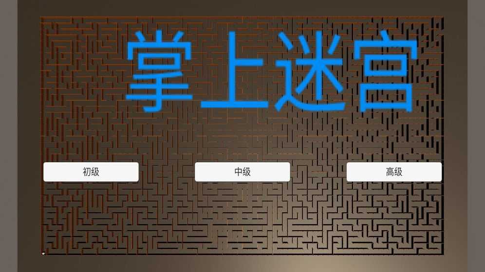 掌上迷宫(3)