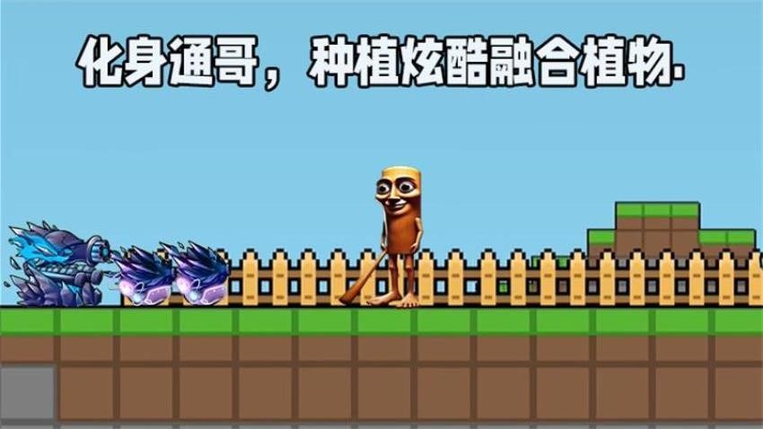 像素世界樂園(2)