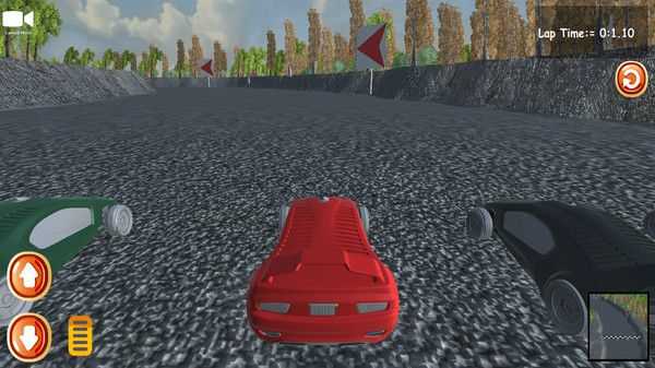 公路賽車駕駛(2)