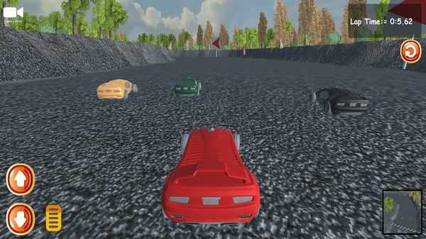 公路賽車駕駛(1)
