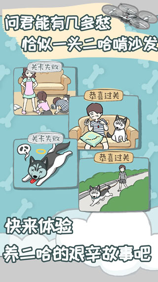 养只二哈不容易(1)