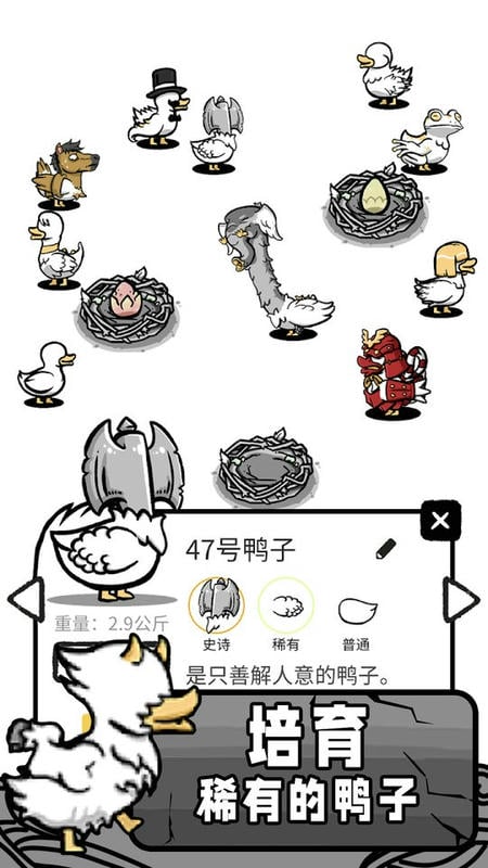 鸭子模拟器(2)